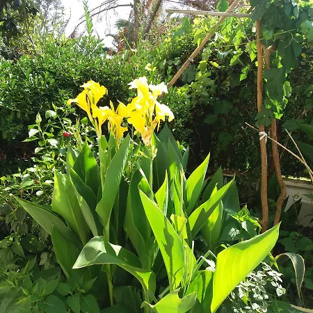 Cizmeci Apart Hotel Çeşme