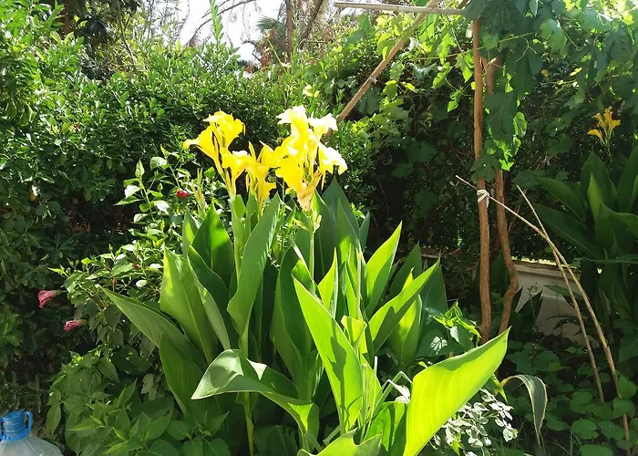 Cizmeci Apart Hotel Çeşme