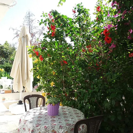 Hotell Cizmeci Apart